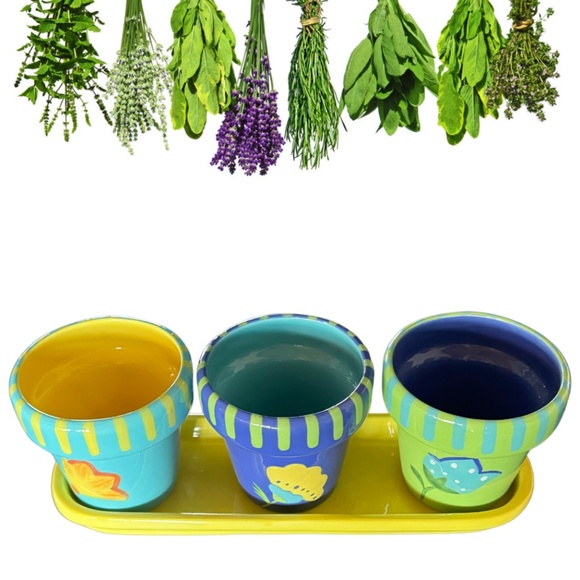 Hallmark Other - set of 3 Colorful Pots on a Tray by Hallmark & by Kimberly Hodges